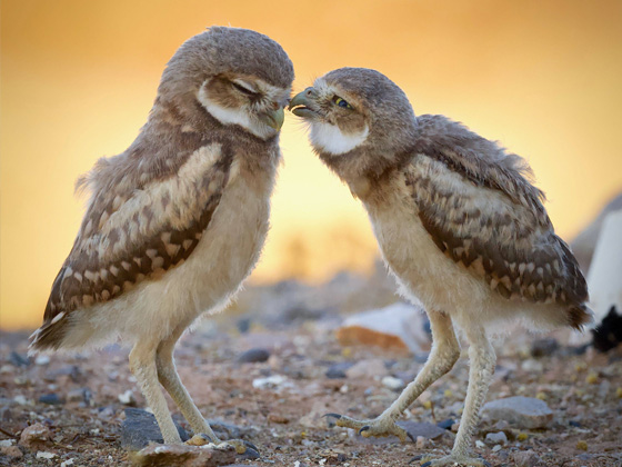 undefined © undefined