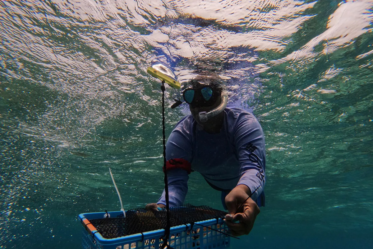 Nicole Craig working underwater on the Mesoamerican Reef in Belize. © courtesy Nicole Craig