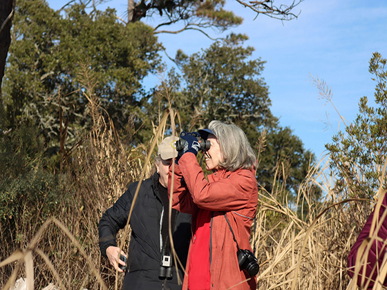 Two birders look through binoculars into the sky, searching for birds.
