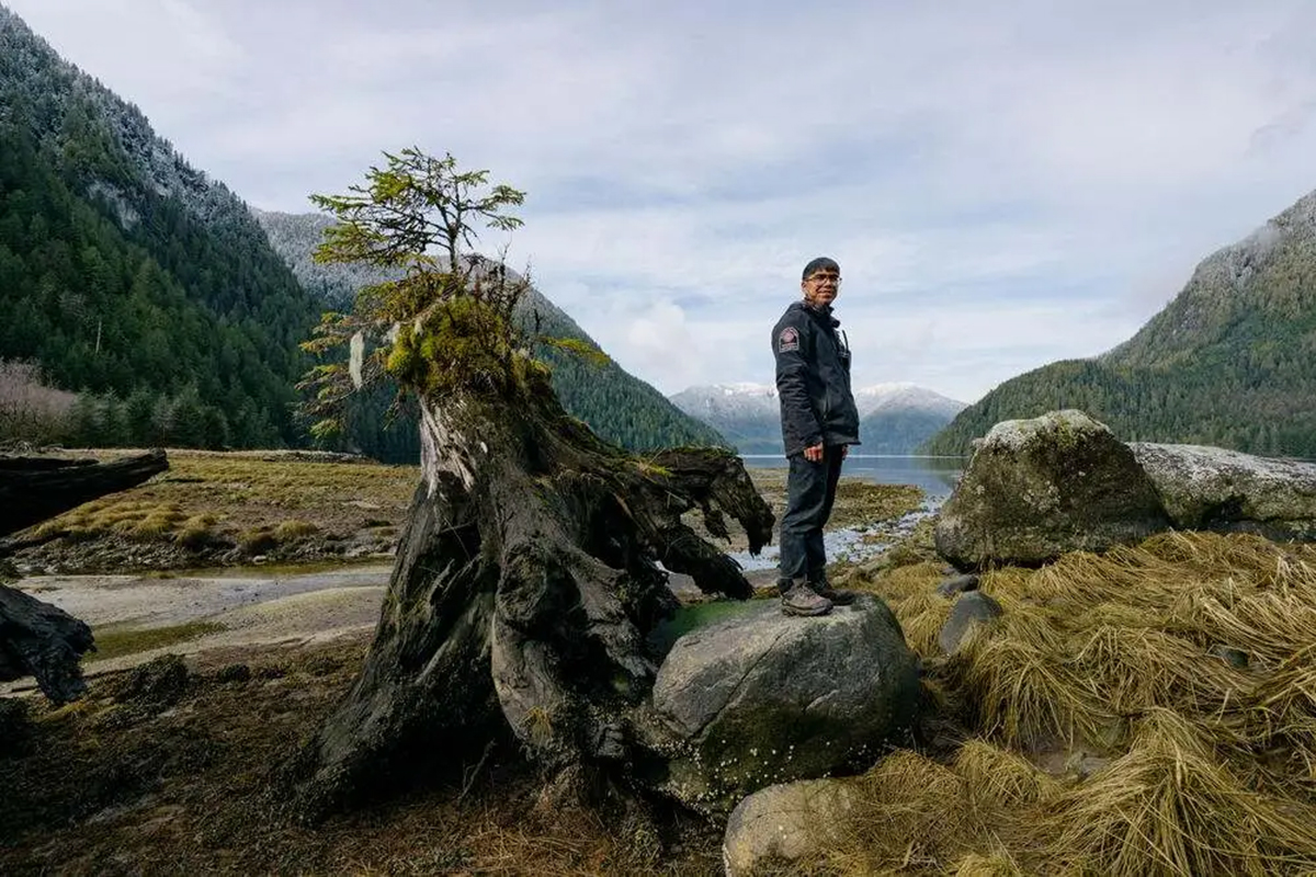 Nuxalk Guardian Watchman Blair Hans looks out on the Kwatna Estuary near Bella Coola, Canada. © Kiliii Yüyan
