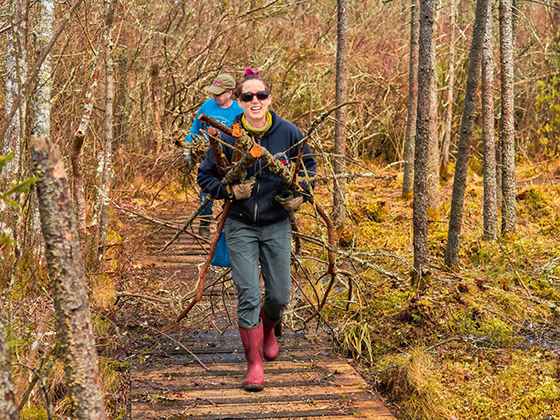 A Land Steward walks across a wooden boardwalk
carrying tools and cut branches.
