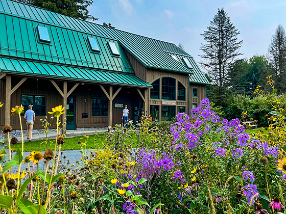 A nature center with a green roof sits in front of a pollinator garden with purple and yellow
flowers blooming.