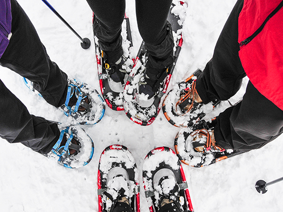 Four people wearing snowshoes stand in a circle on snow, with the tips of their snowshoes touching in the center.
